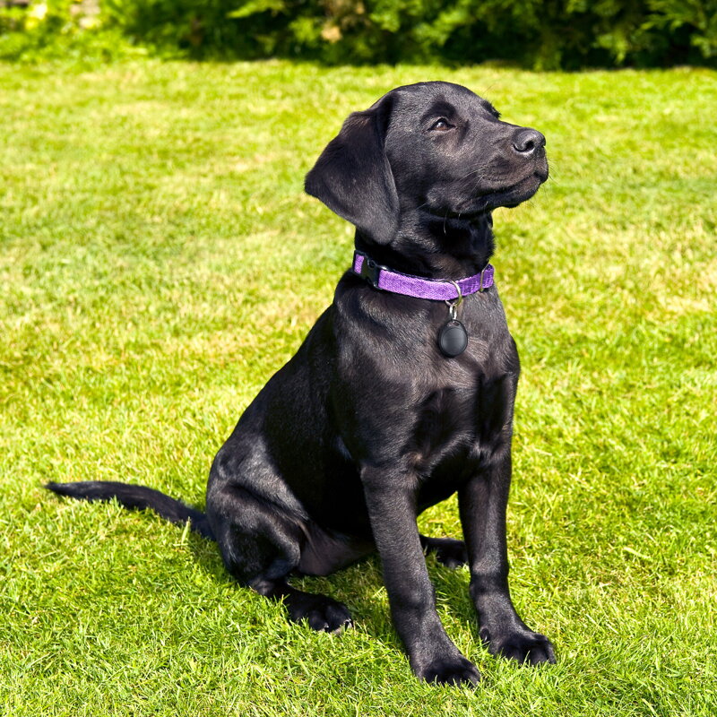 Lokátor HoloTag s podporou Apple Find My 4 ks